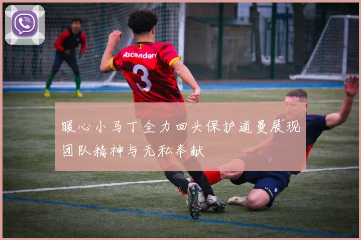 暖心小马丁全力回头保护道曼展现团队精神与无私奉献