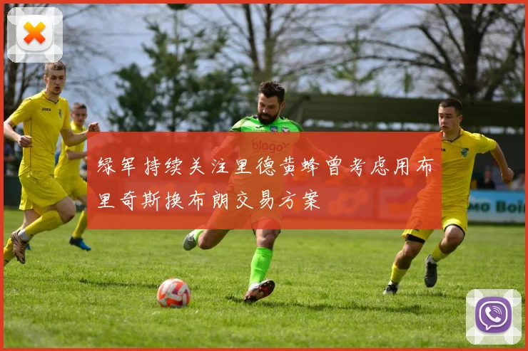 绿军持续关注里德黄蜂曾考虑用布里奇斯换布朗交易方案