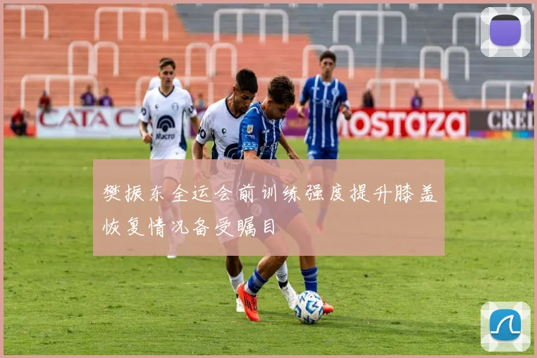 樊振东全运会前训练强度提升膝盖恢复情况备受瞩目
